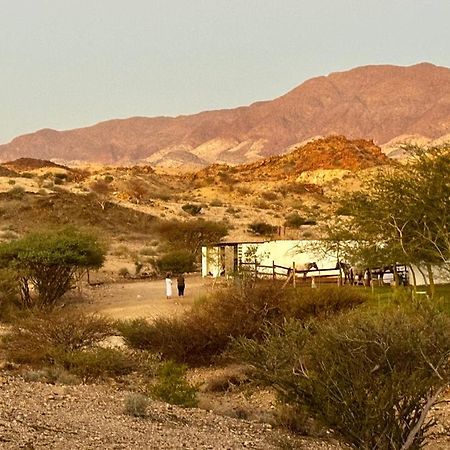 Achab Eco Cabin Usakos エクステリア 写真