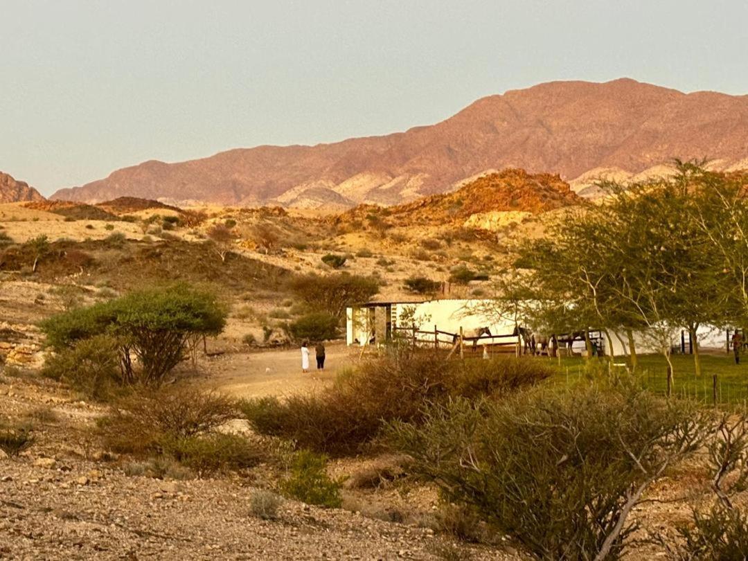 Achab Eco Cabin Usakos エクステリア 写真