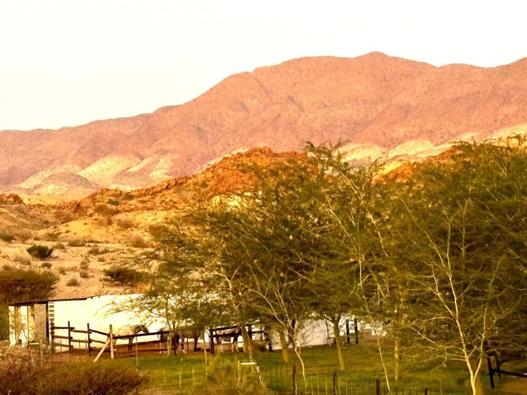 Achab Eco Cabin Usakos エクステリア 写真